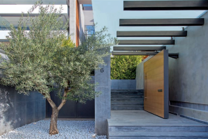 entrance - door - design - residential